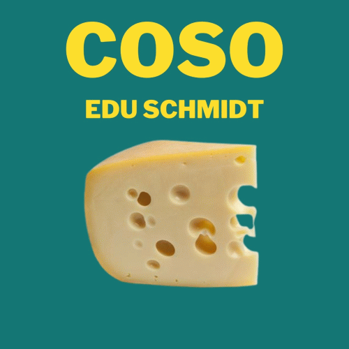 Edu Schmidt : Coso